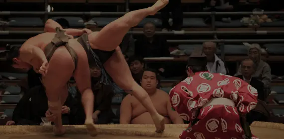 Les tournois de sumos