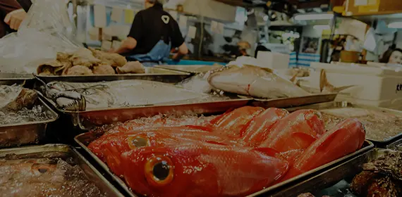 Marché aux poissons de Tsukiji